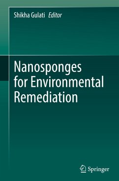 Nanosponges for Environmental Remediation