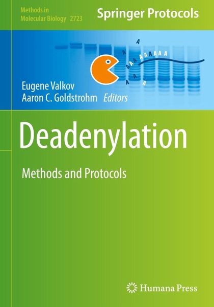 Deadenylation Deadenylation