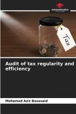 Audit of tax regularity and efficiency