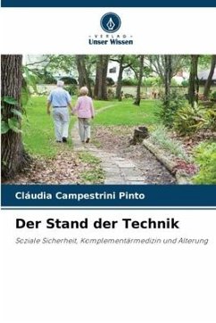 Der Stand der Technik - Campestrini Pinto, Cláudia