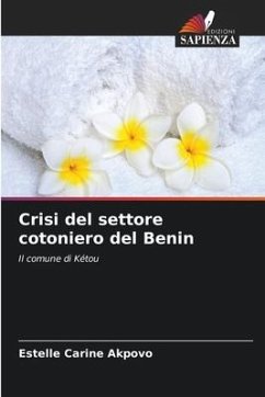 Crisi del settore cotoniero del Benin - Akpovo, Estelle Carine