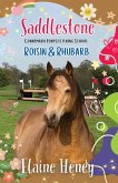 Saddlestone Connemara Pony Listening School   Roisin and Rhubarb