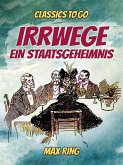Irrwege / Ein Staatsgeheimnis (eBook, ePUB)