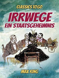 Irrwege / Ein Staatsgeheimnis (eBook, ePUB) - Ring, Max