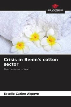 Cover Crisis in Benin's cotton sector