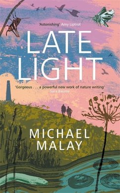 Late Light - Malay, Michael