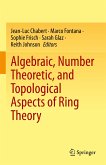 Algebraic, Number Theoretic, and Topological Aspects of Ring Theory (eBook, PDF)