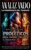 Analizando la Enseñanza del Trabajo en los Libros Proféticos de Hageo, Zacarías y Malaquías (La Enseñanza del Trabajo en la Biblia, #21) (eBook, ePUB)