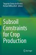 Subsoil Constraints for Crop Production - Bild 1