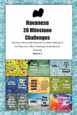 Havanese 20 Milestone Challenges Havanese Memorable Moments. Includes Milestones for Memories, Gifts, Grooming, Socialization & Training Volume 2