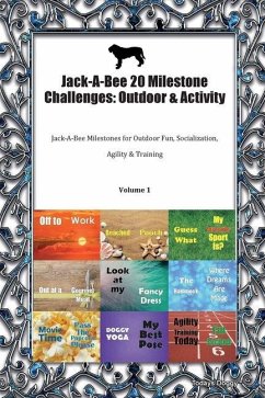 Cover Jack-A-Bee 20 Milestone Challenges