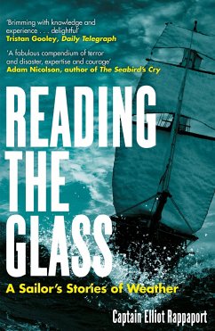 Reading the Glass - Rappaport, Elliot