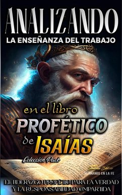 Cover Analizando la Enseñanza del Trabajo en el Libro Profético de Isaías (La Enseñanza del Trabajo en la Biblia, #15) (eBook, ePUB)