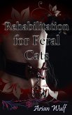 Rehabilitation for Feral Cats (Supernatural Romance) (eBook, ePUB)