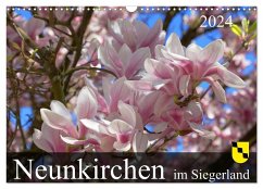 Neunkirchen im Siegerland (Wandkalender 2024 DIN A3 quer), CALVENDO Monatskalender