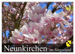 Neunkirchen im Siegerland (Wandkalender 2024 DIN A2 quer), CALVENDO Monatskalender - Behner, Markus