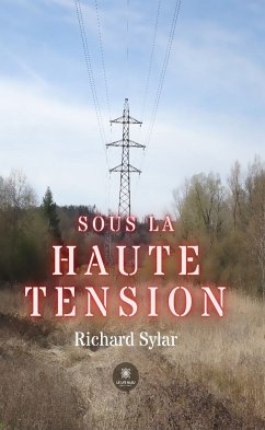 Sous la haute tension (eBook, ePUB) - Sylar, Richard