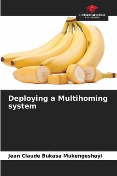 Deploying a Multihoming system - BUKASA MUKENGESHAYI, Jean Claude