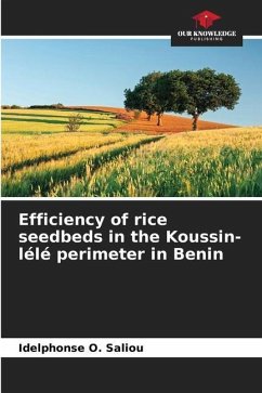 Efficiency of rice seedbeds in the Koussin-lélé perimeter in Benin - Saliou, Idelphonse O.