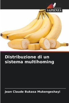 Distribuzione di un sistema multihoming - BUKASA MUKENGESHAYI, Jean Claude