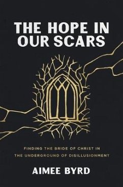 The Hope in Our Scars - Byrd, Aimee