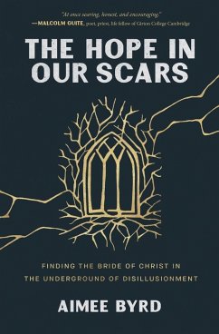 The Hope in Our Scars - Byrd, Aimee