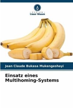 Einsatz eines Multihoming-Systems - BUKASA MUKENGESHAYI, Jean Claude