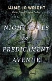 Night Falls on Predicament Avenue