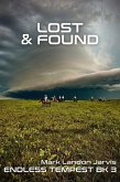 Lost and Found (Endless Tempest, #3) (eBook, ePUB) Lost and Found (Endless Tempest, #3) (eBook, ePUB)