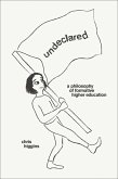 Undeclared (eBook, ePUB)