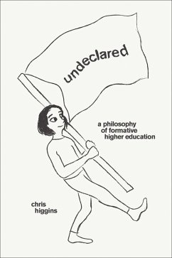 Undeclared (eBook, ePUB) - Higgins, Chris