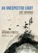 An Unexpected Light (eBook, ePUB) - Bild 1