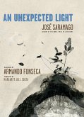 An Unexpected Light (eBook, ePUB)