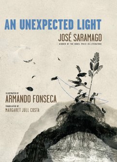 Cover An Unexpected Light (eBook, ePUB)