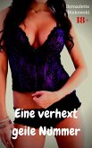 Eine verhext geile Nummer (eBook, ePUB)