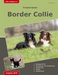 Traumrasse: Border Collie - Bild 1