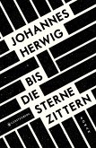 Bis die Sterne zittern (eBook, ePUB)