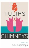 Tulips and Chimneys - Poetry by e.e. cummings