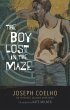 The Boy Lost in the Maze - Bild 1