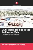 Auto-perceção dos povos indígenas (P.A)