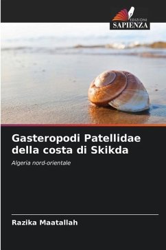 Gasteropodi Patellidae della costa di Skikda - Maatallah, Razika