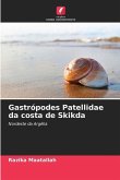 Gastrópodes Patellidae da costa de Skikda