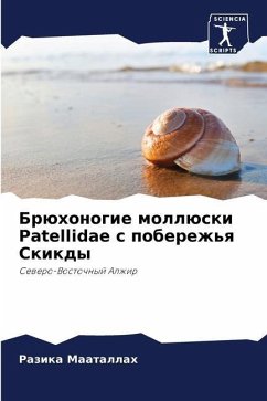 Brühonogie mollüski Patellidae s poberezh'q Skikdy - Maatallah, Razika