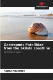 Gastropods Patellidae from the Skikda coastline