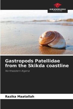 Gastropods Patellidae from the Skikda coastline - Maatallah, Razika