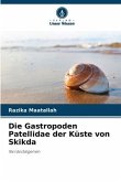 Die Gastropoden Patellidae der Küste von Skikda
