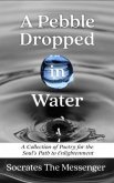 A Pebble Dropped in Water (eBook, ePUB)