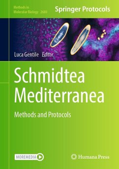 Schmidtea Mediterranea (eBook, PDF)