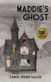 Maddie's Ghost (eBook, ePUB)