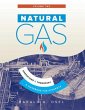 Natural Gas: Operations and Transport... - Bild 1